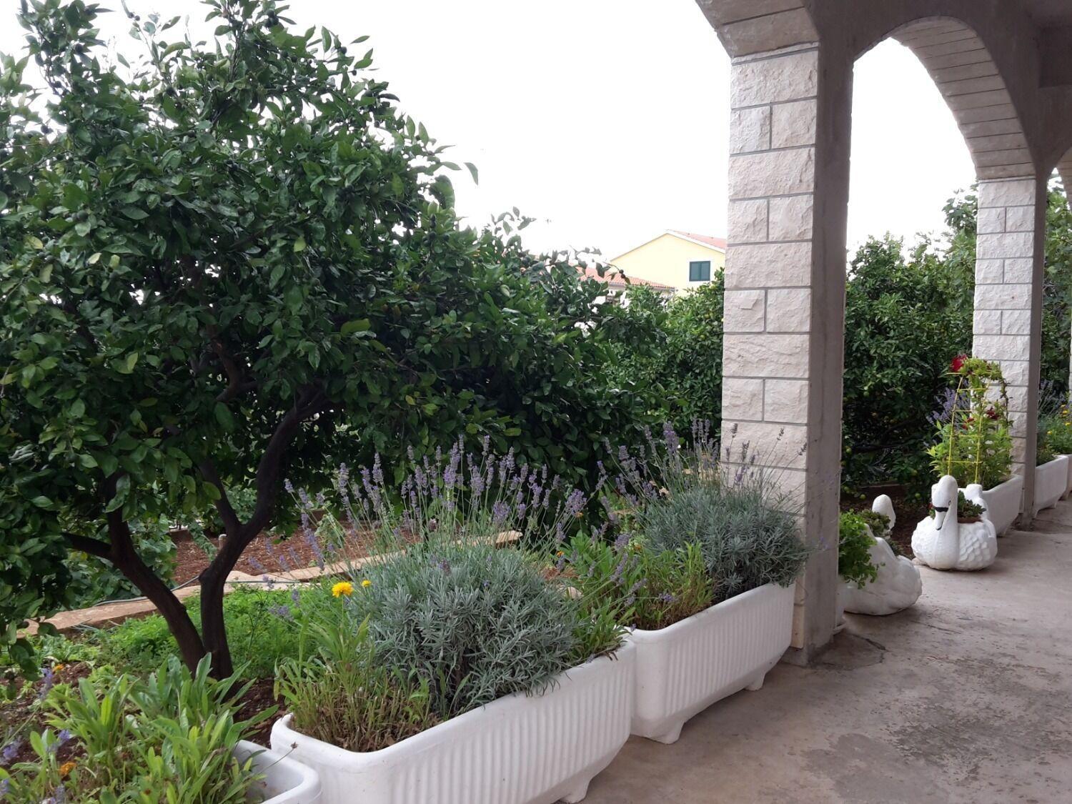Apartments Josi - Parking And Barbecue Grebaštica Dış mekan fotoğraf